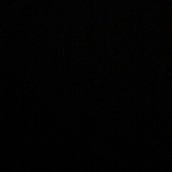 Meet your Posher, Priscilla - Picture 1 of 1